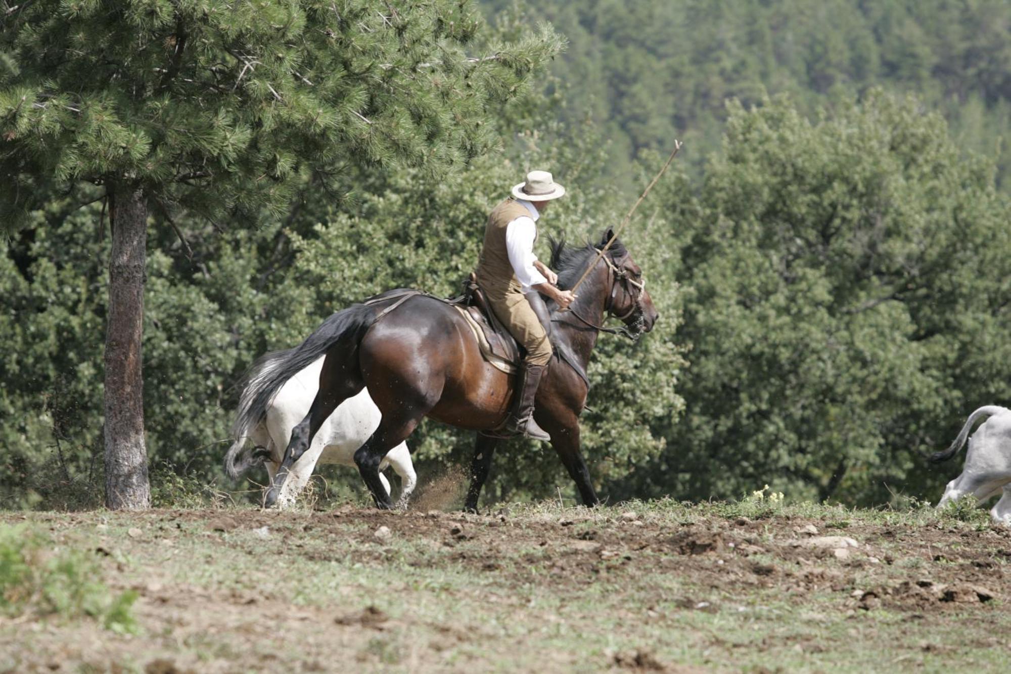 Agriturismo La Forra Cavriglia Eksteriør billede
