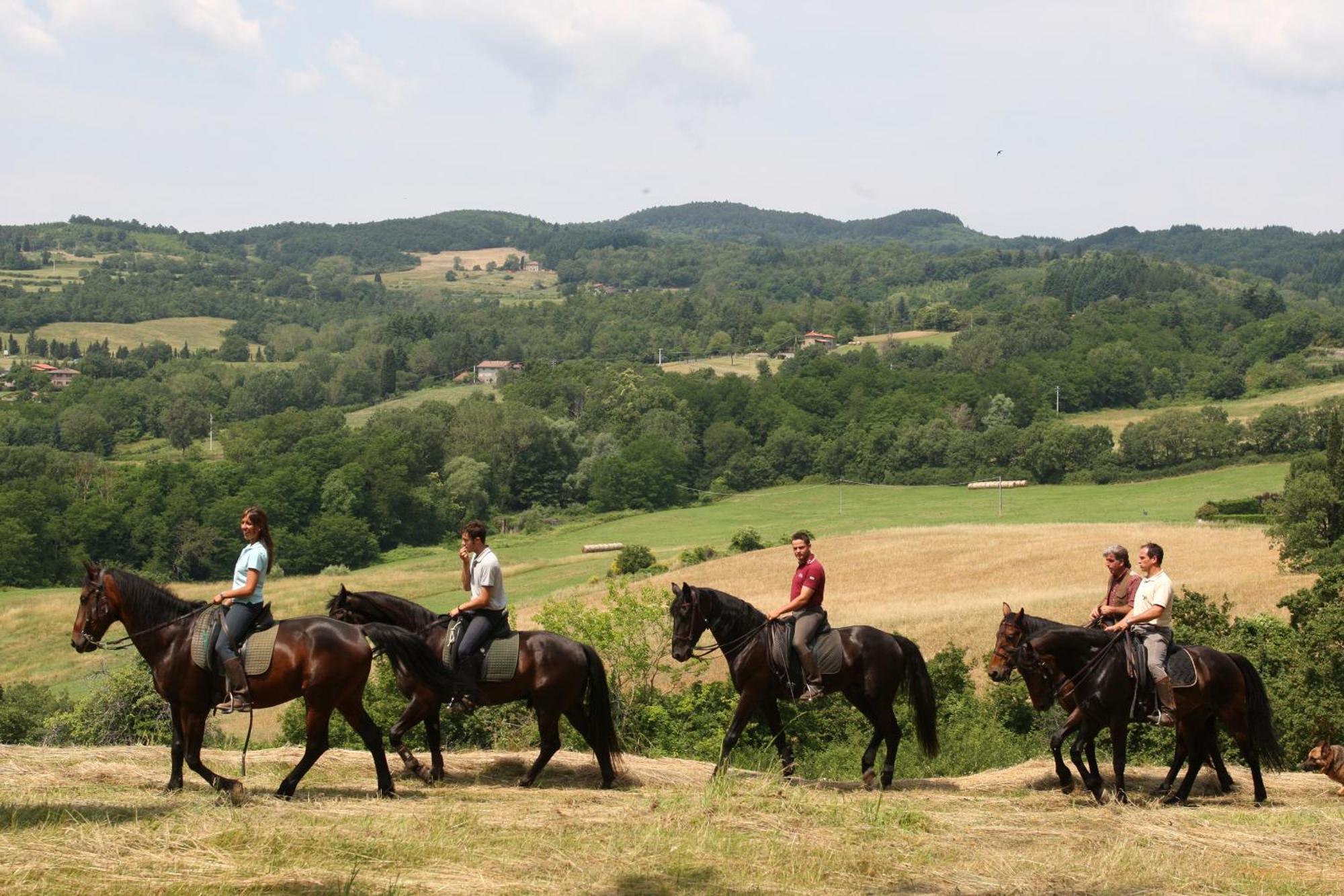 Agriturismo La Forra Cavriglia Eksteriør billede