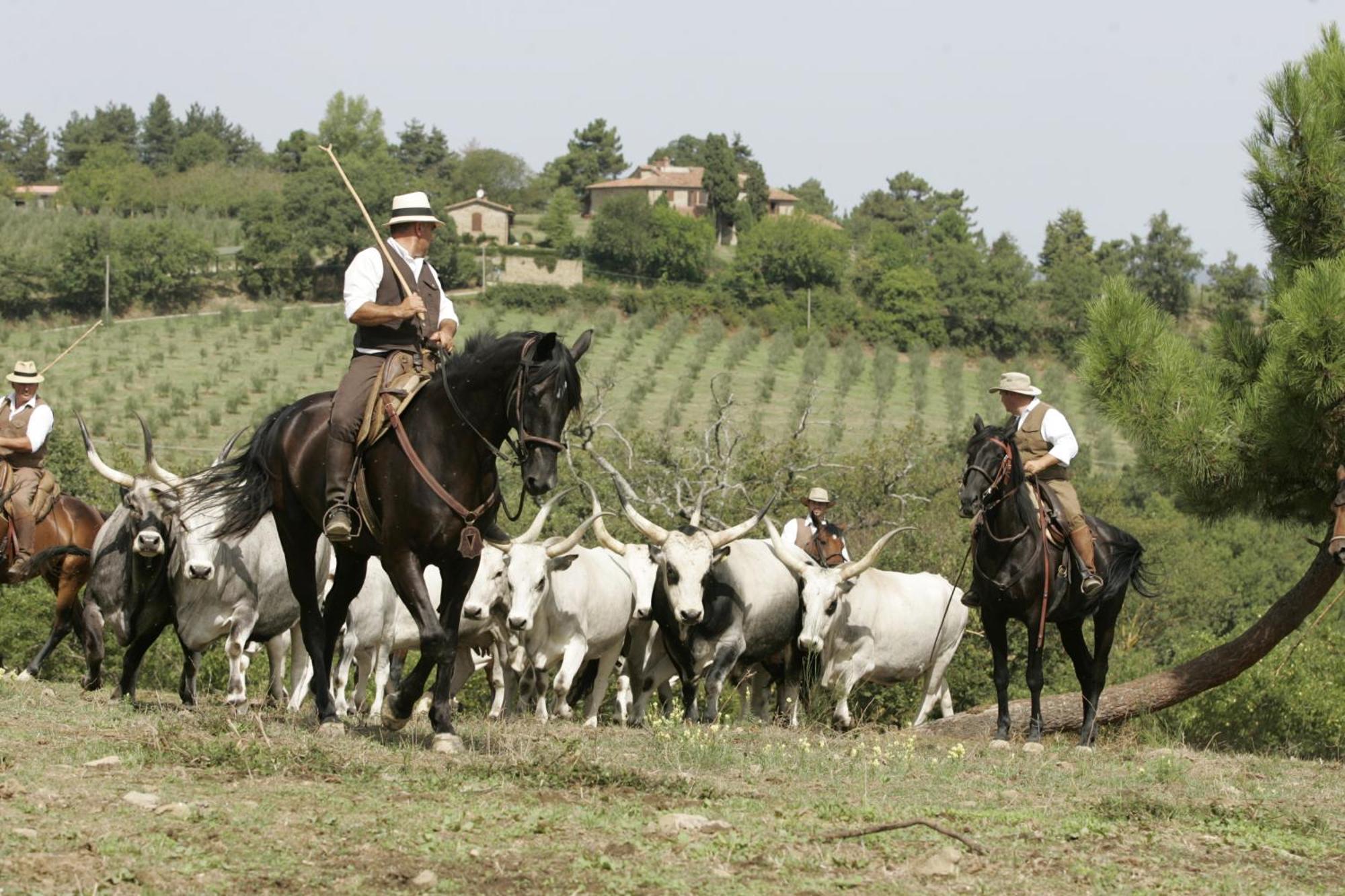 Agriturismo La Forra Cavriglia Eksteriør billede
