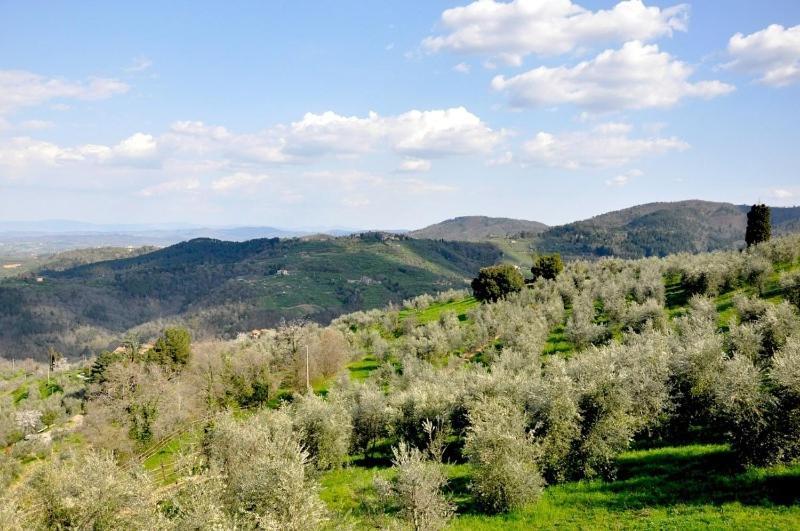 Agriturismo La Forra Cavriglia Værelse billede