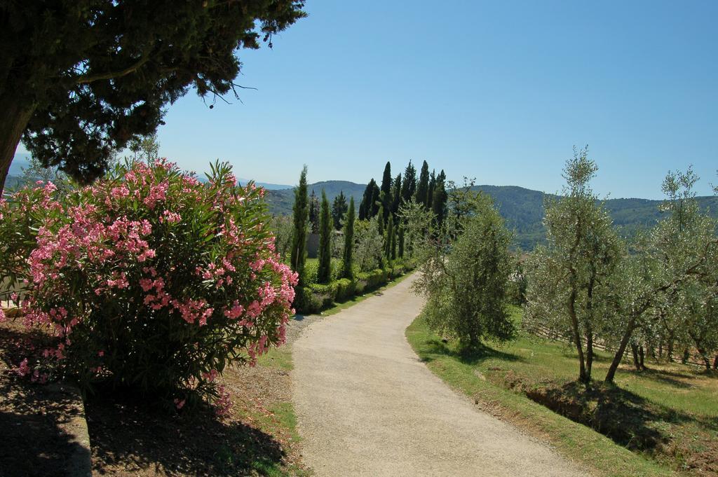 Agriturismo La Forra Cavriglia Eksteriør billede
